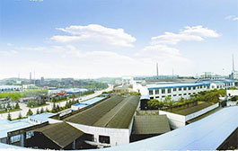 四川威遠(yuǎn)鋼鐵廠(chǎng)